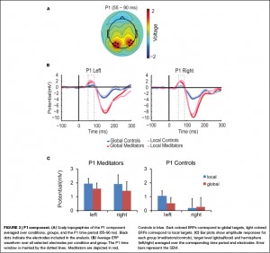 Meditation has positive effects on the brain